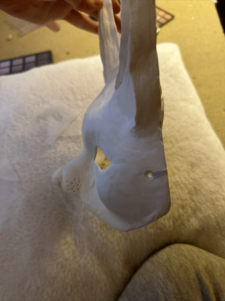 Therian Cat Mask, DIY, Furry Mask, Plain Mask, Base Of Mask - Image 4 of 4