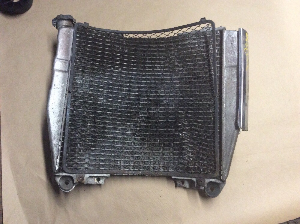 1998-2003 KAWASAKI ZX9R ZX 9R RADIATOR WITH SCREEN OEM #39061-1248