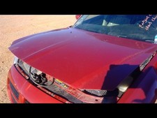 Hood Fits 05-07 Magnum 253701