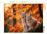 Calvendo Puzzle A Tiny Moment That Warms The Heart | 1000 Pieces, Finished Size