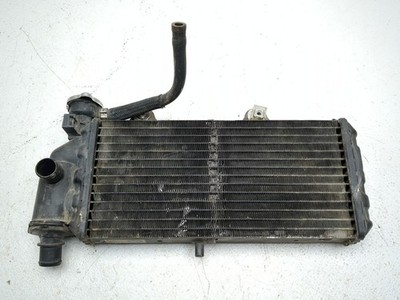 00-07 BMW F650GS Dakar Front Radiator Cooler 17117652234