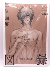 Slow Damage Original Art Exhibition Catalog Book Nitro + Chiral Japan Limited