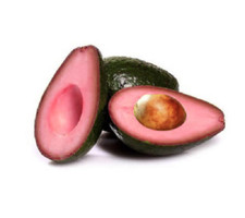2 Seeds Red Avocado Huge Fruit Fresh Organic Green Easy To Grow