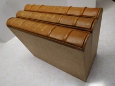 Vintage 3 Vol. Set Finely Leather Bound Ulenspiegel The Legend Of The Beggars