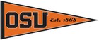 Oregon State Beavers Ncaa 12 X 30 Wincraft Felt Pennant