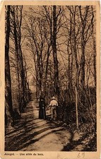 Old postcard Mongre - Une al�e du bois (450777)