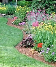 Organic Garden Plants & Flower Worm Castings Fertilizer Odorless Soil Enhancer