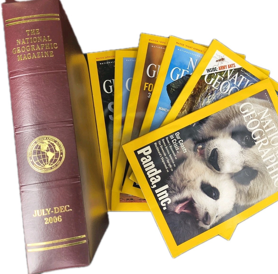 Lot 6 National Geographic Magazine Jul-Dec 2006 with Slip Cover Case Holder