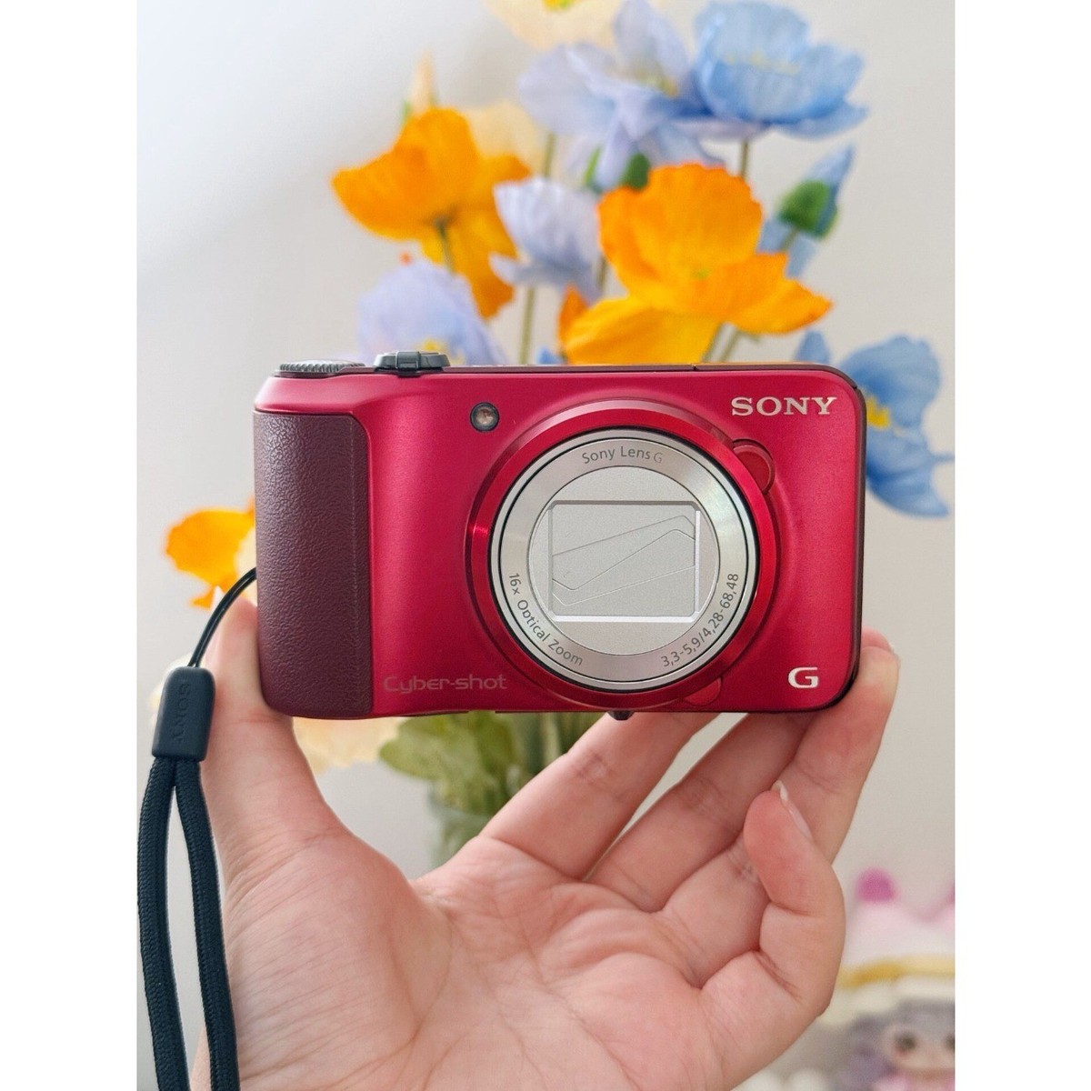 Sony Cyber-shot DSC-H90 16.1MP 16x Optical Zoom 24mm Wide Angle