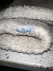 Bild 10 von 12