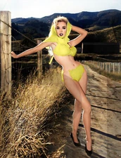 Betty Brosmer 14 x 11"  Photo Print