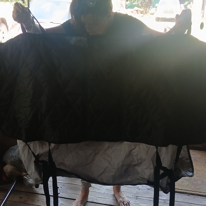 4Knines Hammock Style Dog Car Seat Cover, Black Polyester, L