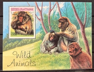 Somali republic macaque monkey .S/S of 1 MNH Issued in 1999