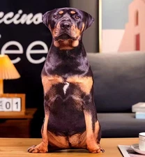Rottweiler Dog 20" Printed Pillow Stuffed Animal Plush Toys Doll Kids Gifts