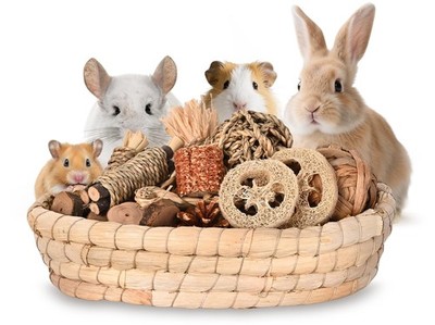 31PCS Rabbit Chew Treat Toys for Teeth , Natural Bunny Enrichment Toys for Bo...
