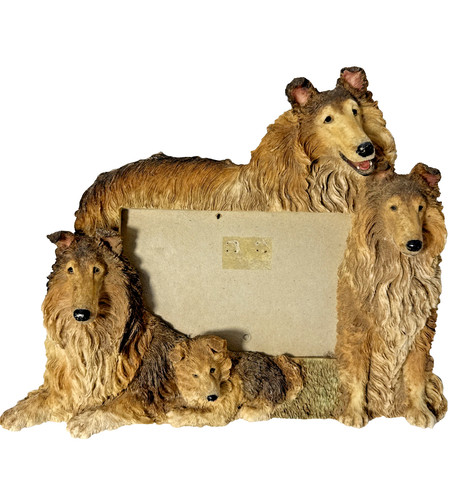 Border Collie 4x6 Photo Frame 3D Realistic Dogs