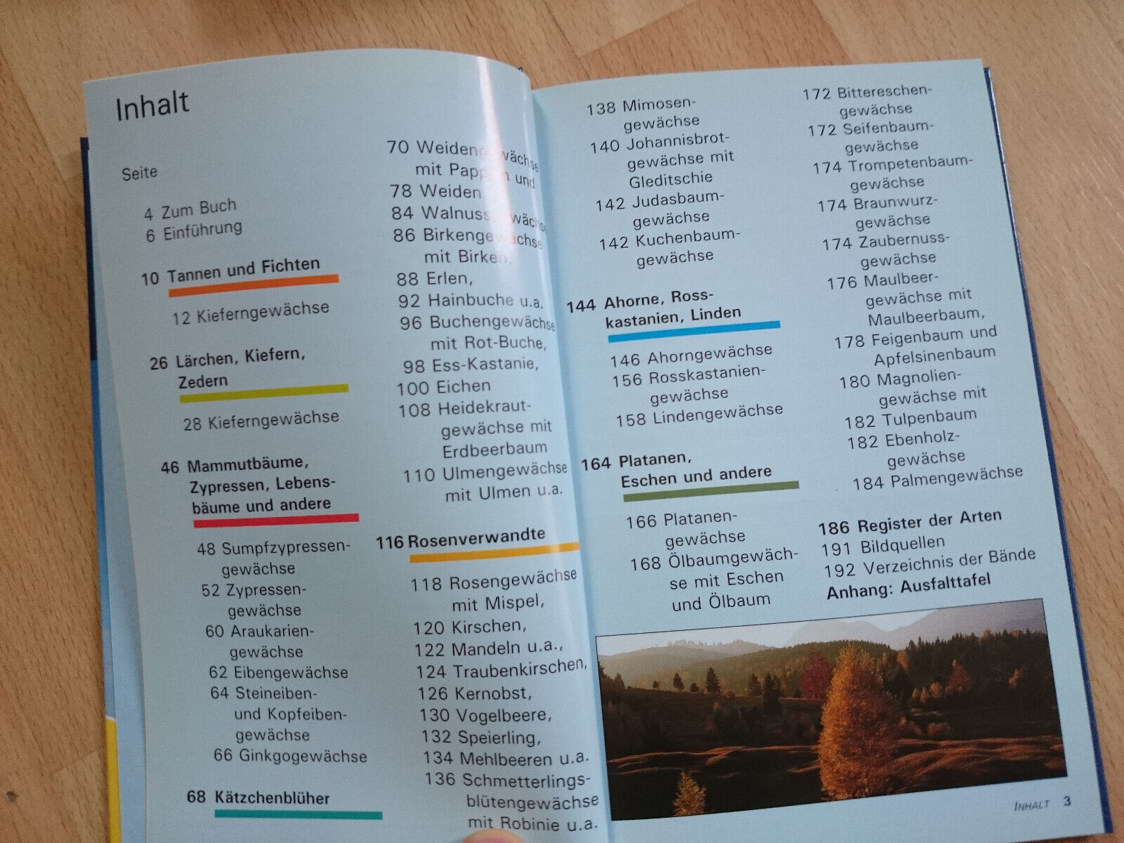 Bild 2 von 6