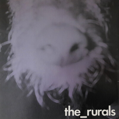 The Rurals - Mr Comfort EP (12'', EP) (Very Good Plus (VG+)) - 2544482892