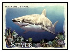 2021 Topps Allen and Ginter Deep Sea Shiver #DSS11 Mackerel Shark INSERT