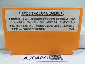 Clu Clu Land Nintendo Famicom NES Japan - AJ8489