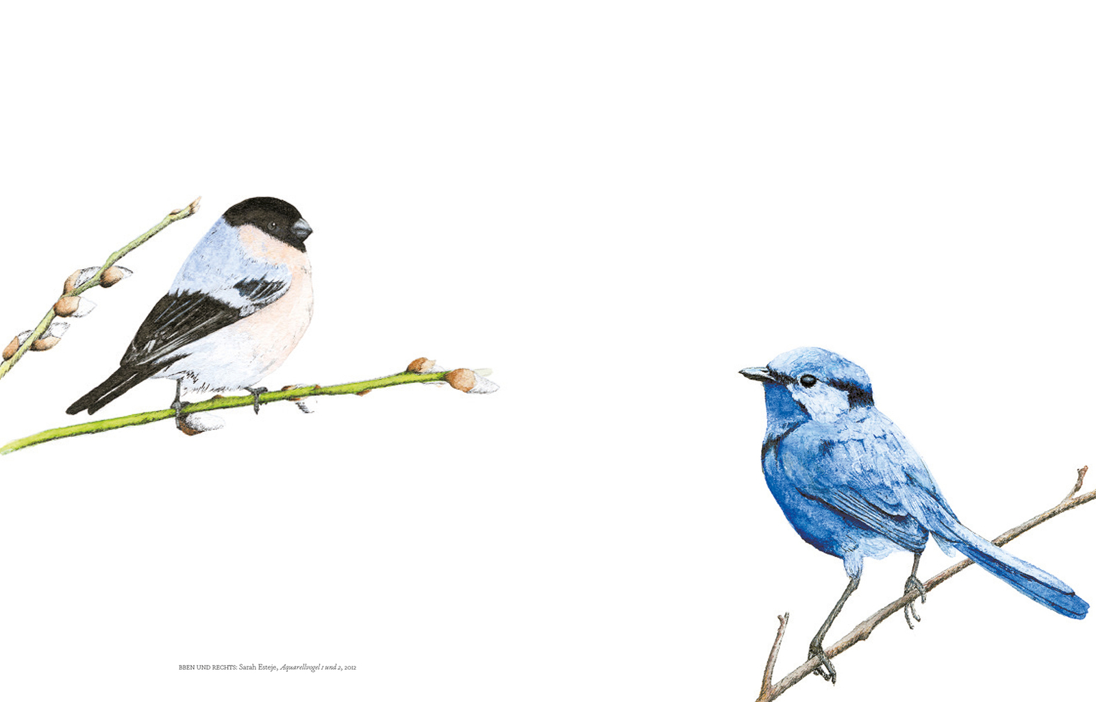 Thumbnail - Vögel In Der Kunst, Angus Hyland