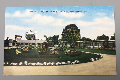 Vintage Souvenir Postcard Lippert's Motel on US 19 New Port Richey Florida
