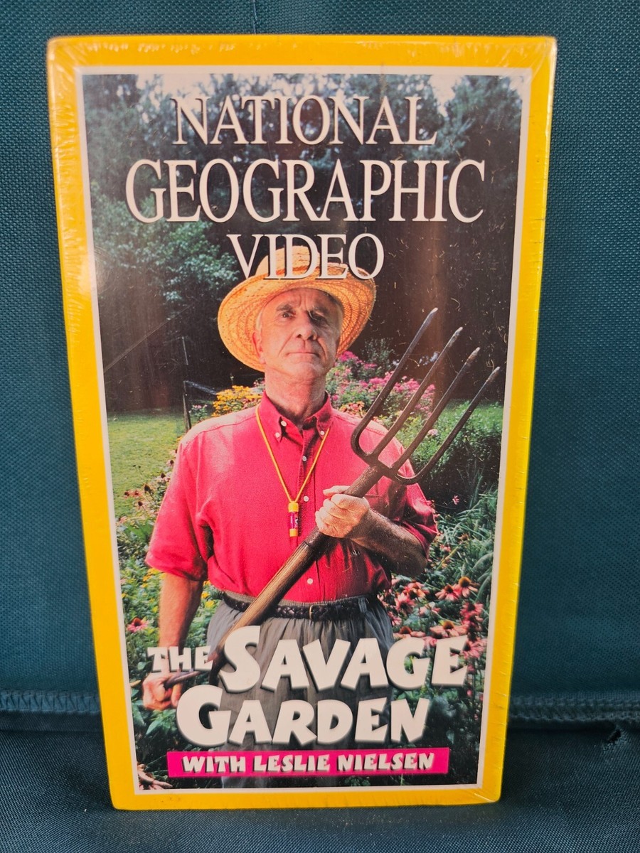 その他 Nat&#39;l Geo: Wings Over the Serengeti [VHS] Amazon.com: National Geographic's Wings Over the Serengeti