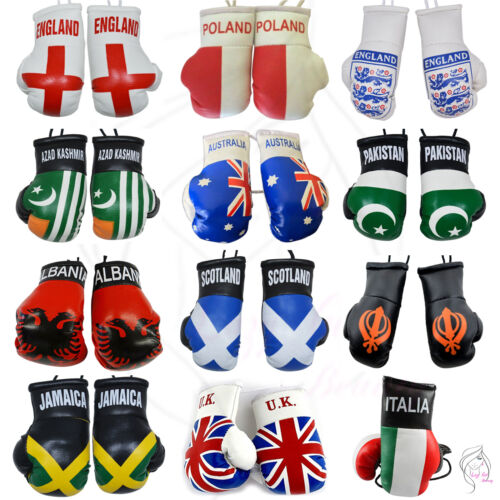 All Country Mini Boxing Car Gloves Mirror - Picture 1 of 14