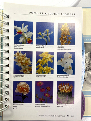 NOS Very Best Wedding Planning Guide Planner Sectional Binder Book 370 Pages - Picture 14 of 24
