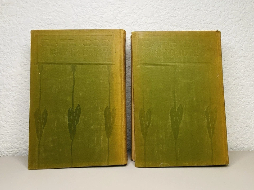 1896/99, 2 Vol, Cape Cod by Henry David Thoreau, HB ILLUS, Houghton - Image 3 of 4