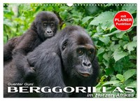 Berggorillas Im Herzen Afrikas (Wandkalender 2026 Din A3 Quer), Calvendo Monatsk