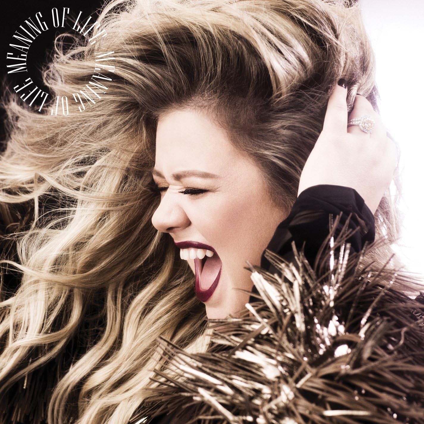 Kelly Clarkson / Meaning of Life *NEW CD*