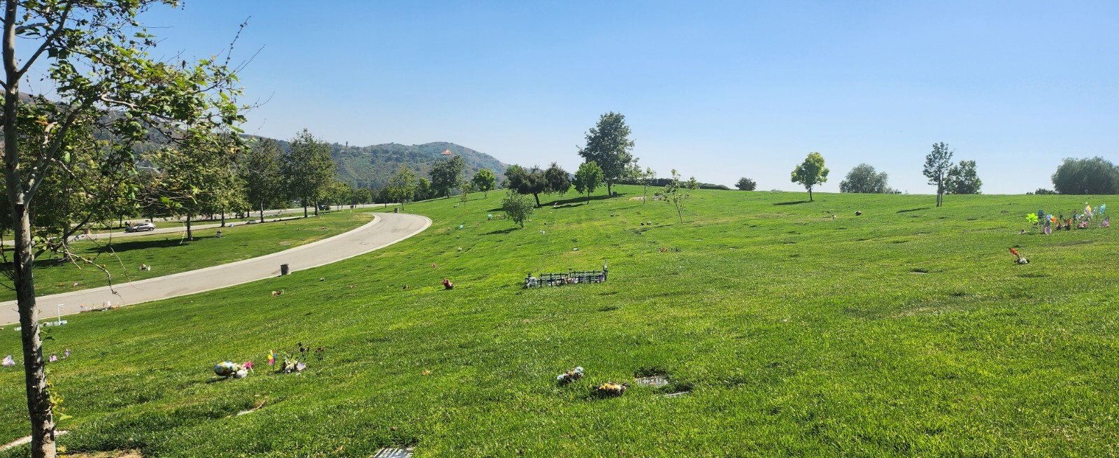 Rose Hill Cemetery Plot for Sale eBay