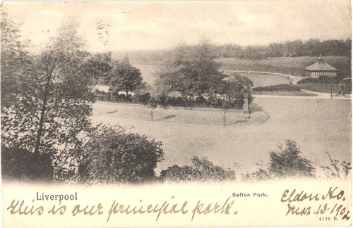 Liverpool England Sefton Park Bird's Eye View of The Park Postcard