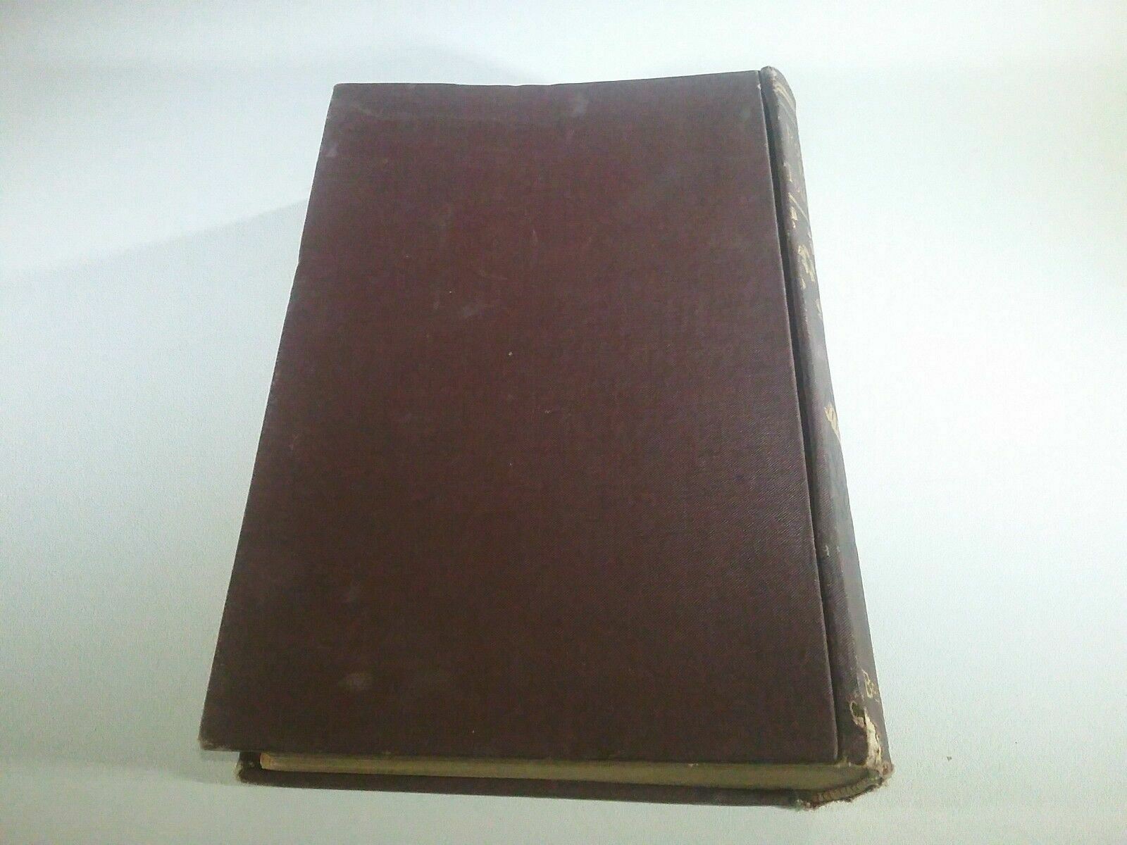 Picture 5 of 11
