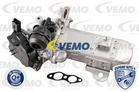 Vemo Agr-Ventil FüR CitroËN Ford Peugeot