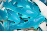 Blue Raspberry Gummy Sharks 1 Pound Gummi Bulk Candy Blue White Quick Shipping Blue Raspberry Gummy Sharks 1 Pound Gummi Bulk Candy Blue White Quick Shipping