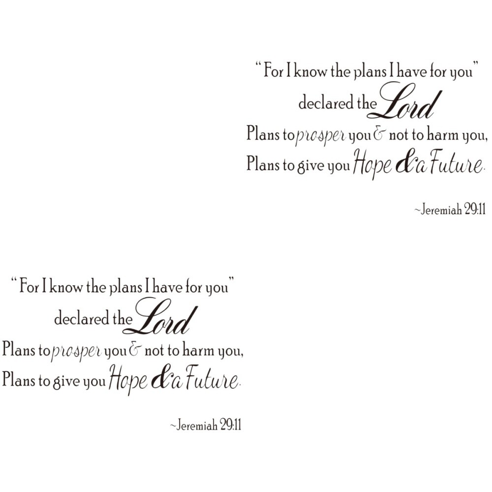2pcs FOR I Know the Plans 2911 Wall Quote Decal Removable Wall Quotes