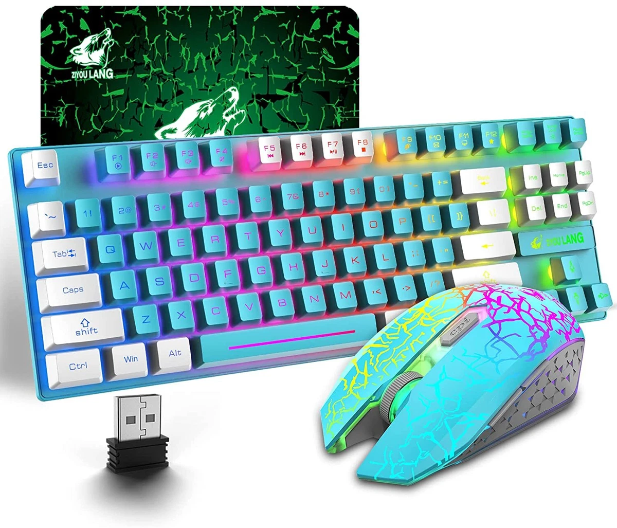 Wireless keyboard and online mouse for mac