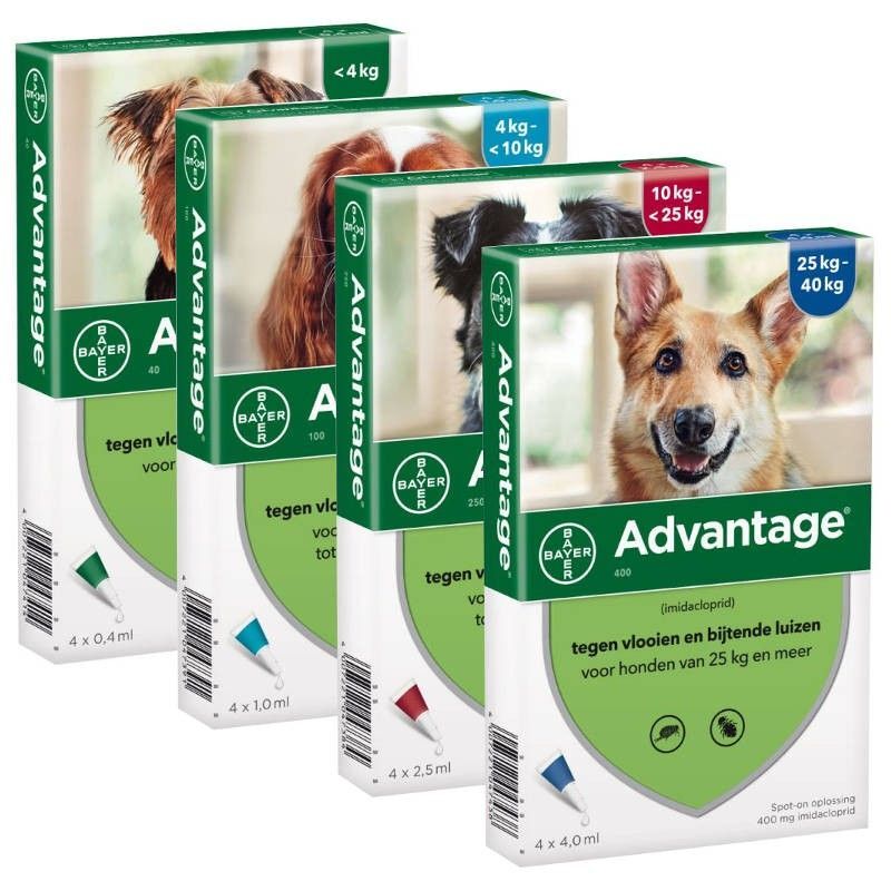 Bayer x pack Advantage 400 large dog 25 kg 40 kg 55 lb-88 lb blue flea  lice