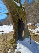 Digital Image Picture Photo Wallpaper Background Beautiful Art # 342