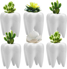 6 Pack Tooth Shaped Planter Pots, Small Cute Flower Plant Containers, Mini Ceram
