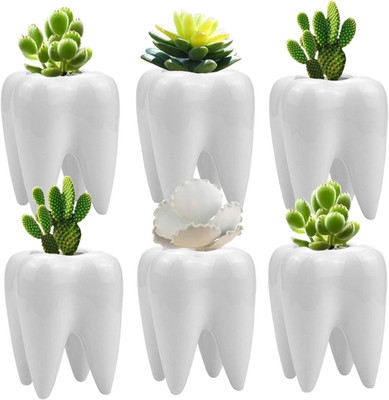 6 Pack Tooth Shaped Planter Pots, Small Cute Flower Plant Containers, Mini Ceram