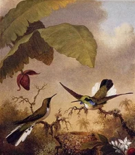 MQ-OP0619 100% Handmade Painted BirdS On Branch Oil Painting Art On Canvas