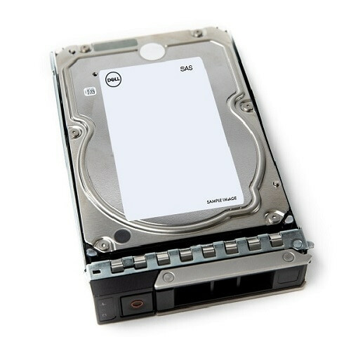 Dell Hard Disk Interno 12 TB 7200 Rpm 3.5" NL-SAS - 161-BCJX