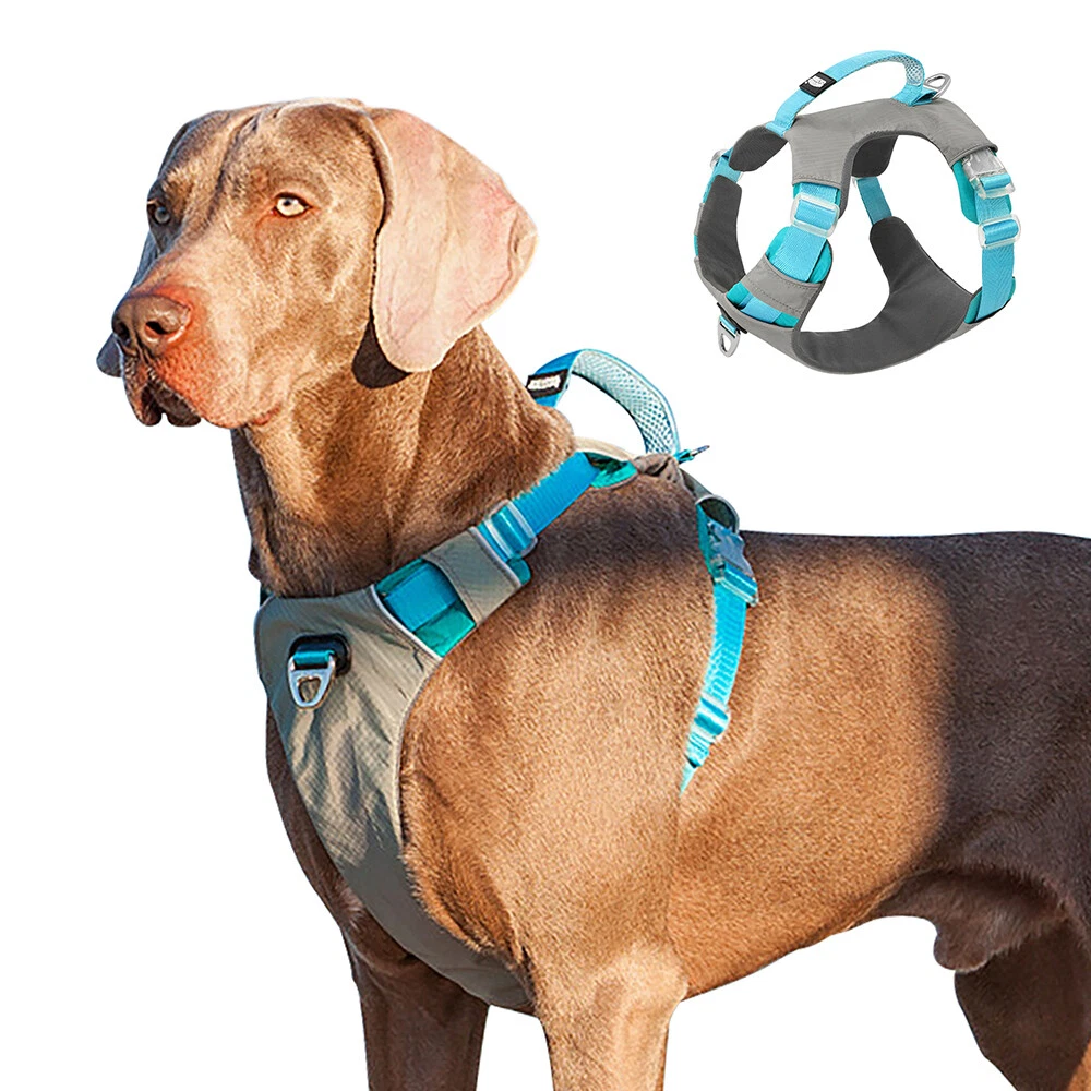 Rottweiler harness cheap pulling