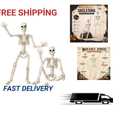 Halloween Skeleton Decor 3 ft Plastic Full Body Posable Joints for Indoor