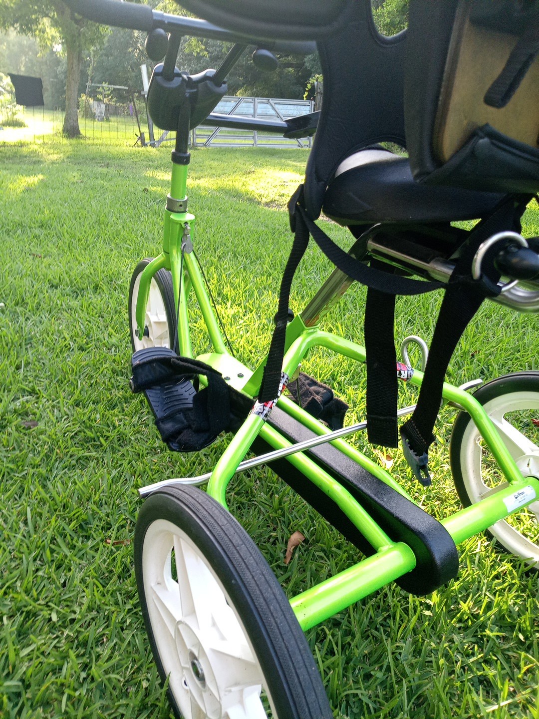 Special Needs Bike
