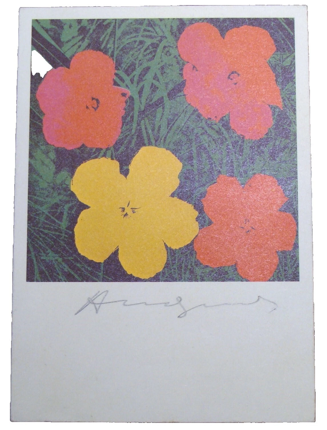 Andy Warhol Limited Edition Botanical Art Prints