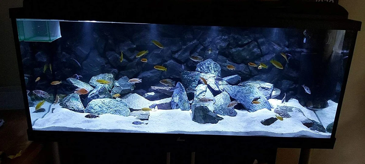 Aquarium Sand White Gravel Fish Tank Substrate for Malawi Cichlid